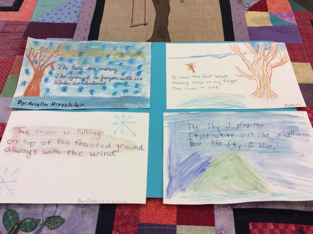Weather, Water, and Woods in 4th Grade