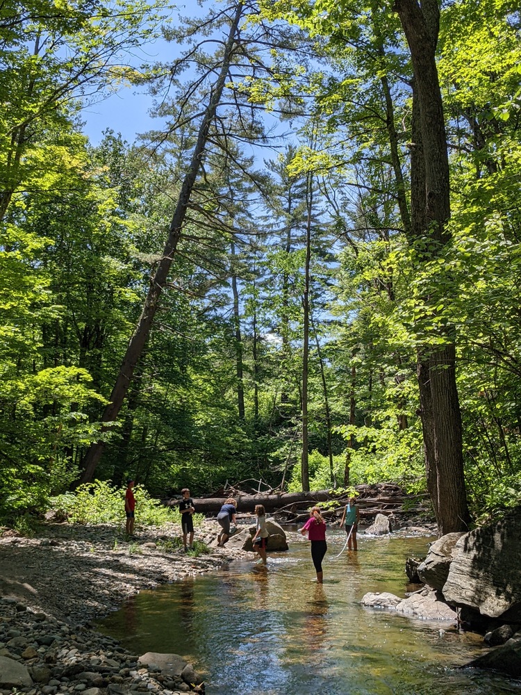 Students in the brook