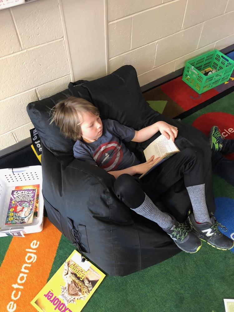 Second Grade Loves to Read!