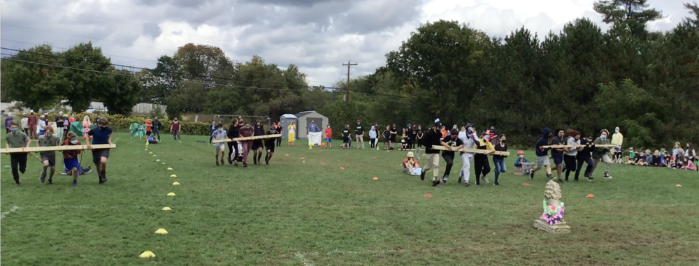 lion's cup races