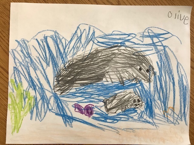 Manatees in First Grade