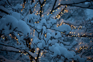 Lyme Winter Concert