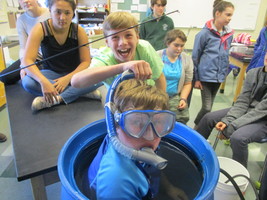 Diving in to Determine Human Density