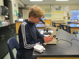 Seventh Grade Science News