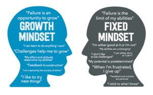 Bucket Filling & Team Building & MINDSETS, Oh My!