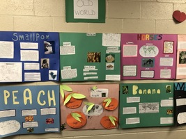 6th Grade Columbian Exchange Posters