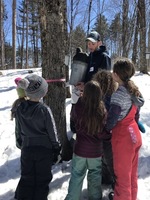 Maple Sugaring