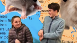 Warning: Bully Cats in Spanish class