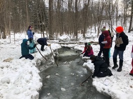 The Wonder of Water, Winter, and the Woods