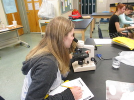 Seventh Grade Science News