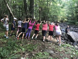 Macro-Invertebrates & Grant Brook