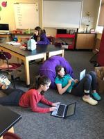 Using your noodle to answer an essential question