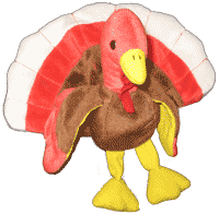 Thankful for a Virtual Talent Show