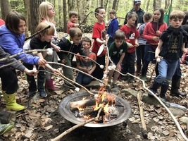 Forest Penpals