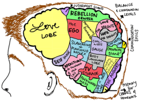The Eighth Grade Learns about the Adolescent Brain