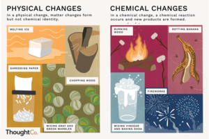 Sixth Grade Science News