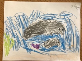 Manatees in First Grade