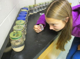 Seventh Grade Science News