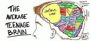 The ever complex adolescent brain